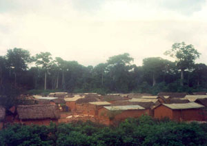 The village of Kosangbé, where Philip Graham and Alma Gottlieb lived in 1979-1980.